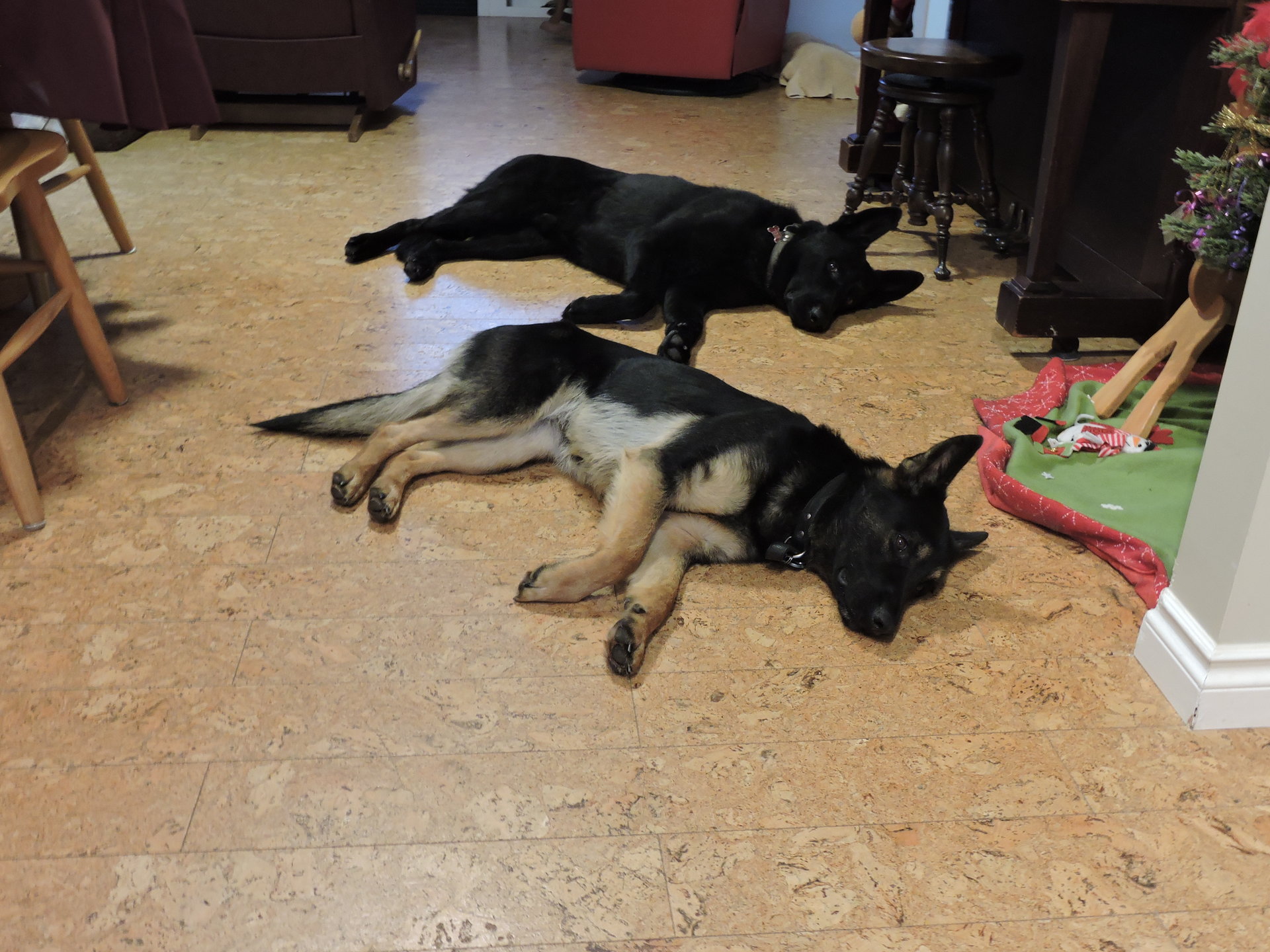 DSCN9039.JPG