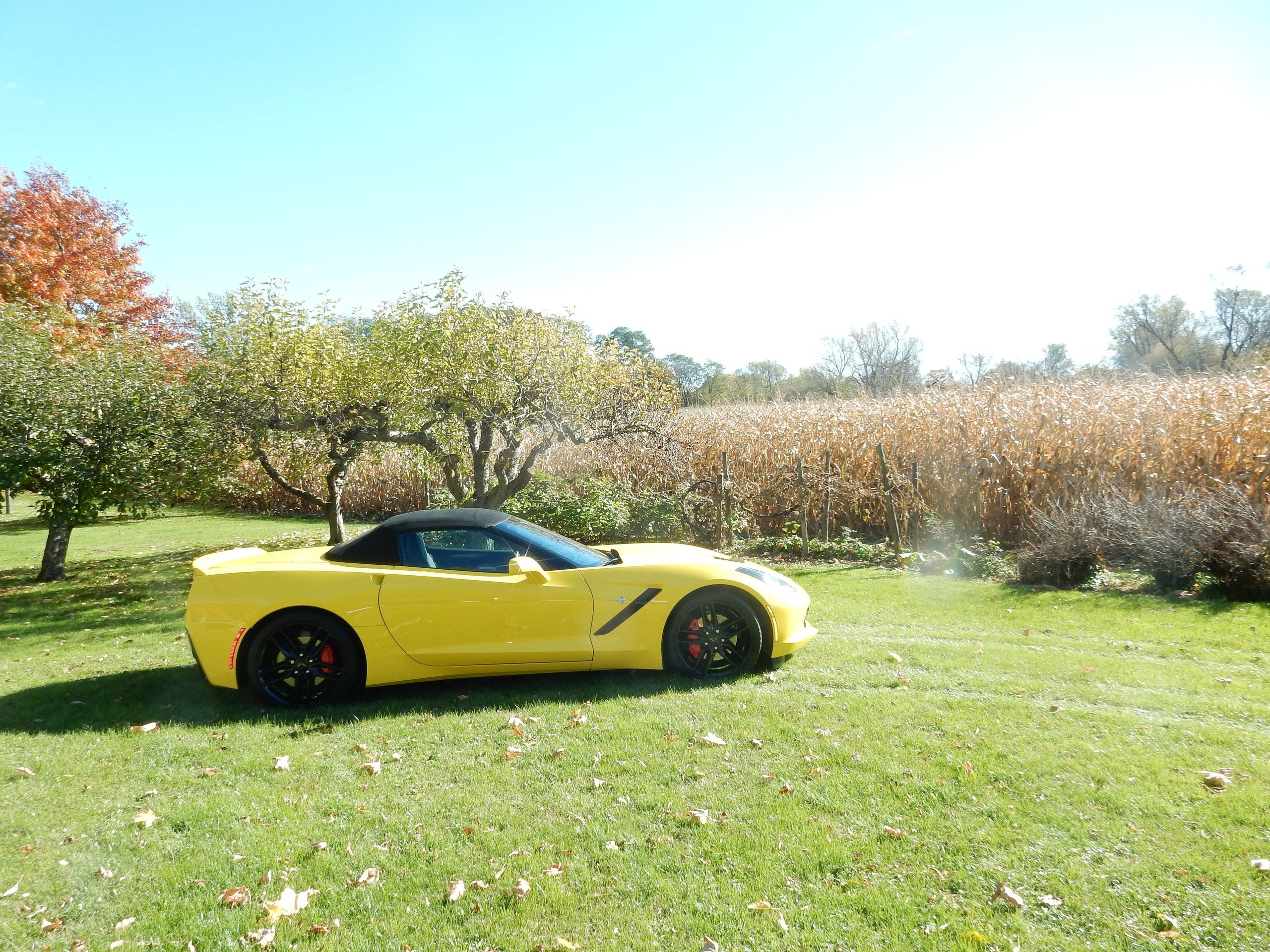DSCN9247.JPG
