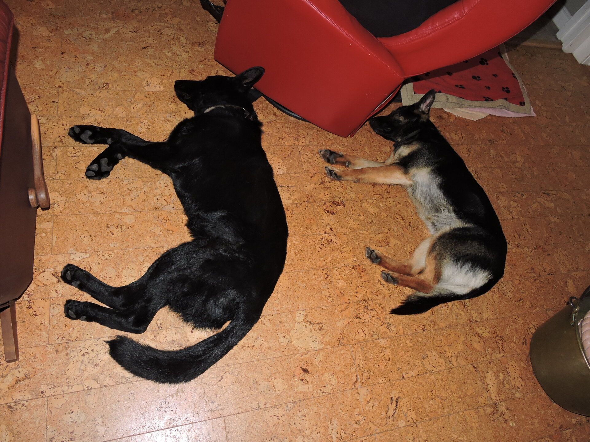 DSCN9836.JPG