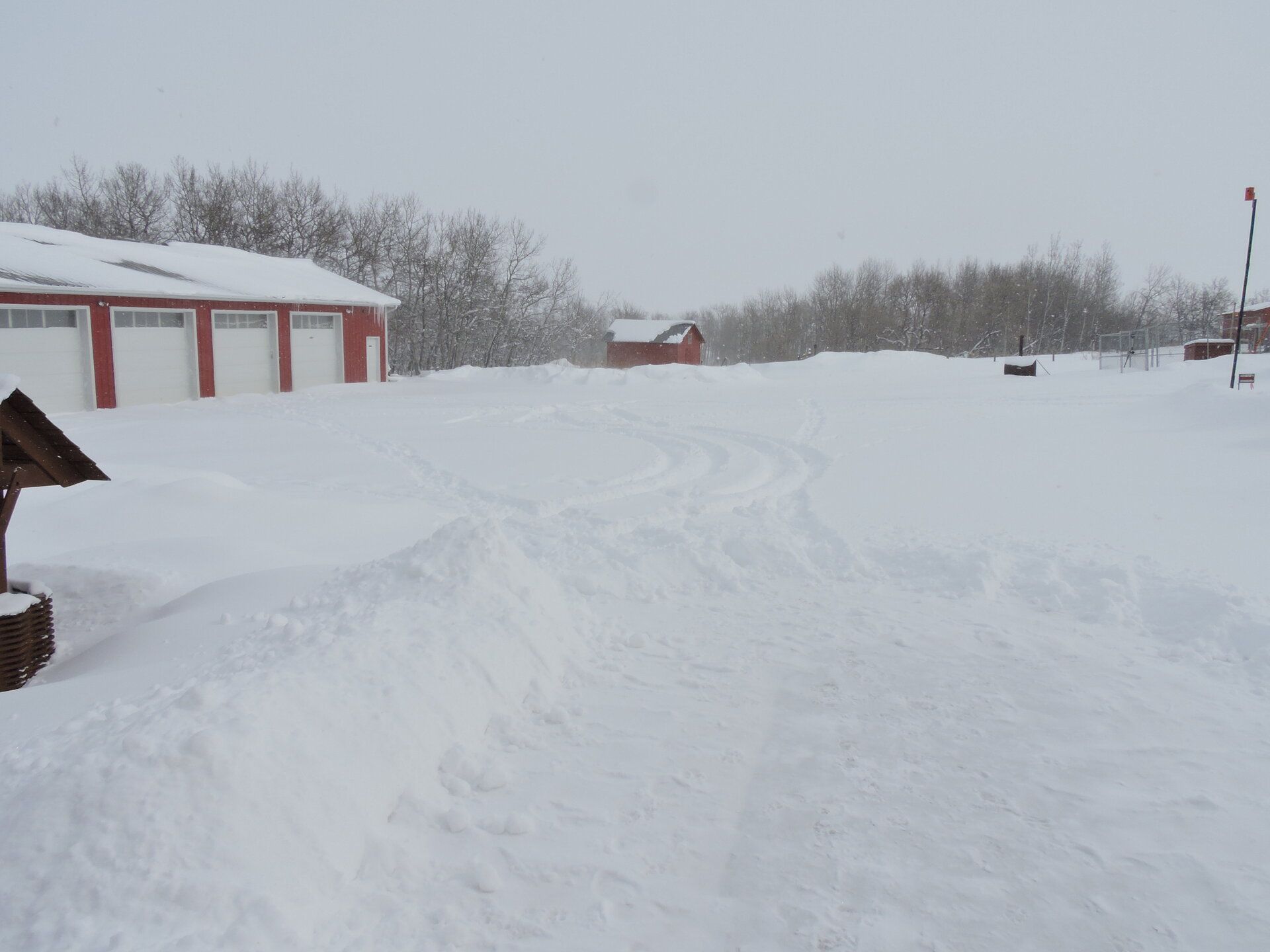 DSCN9853.JPG