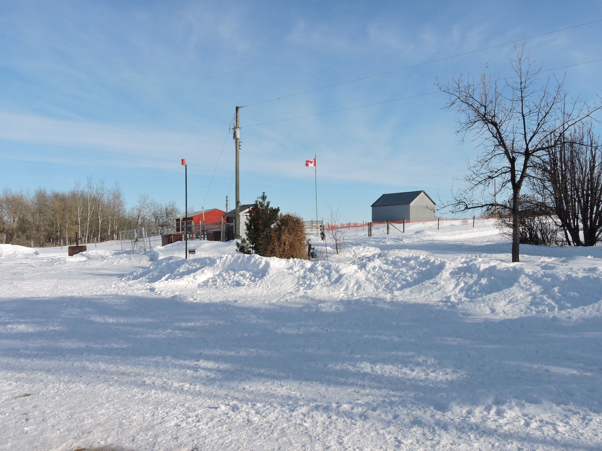 DSCN9871.JPG