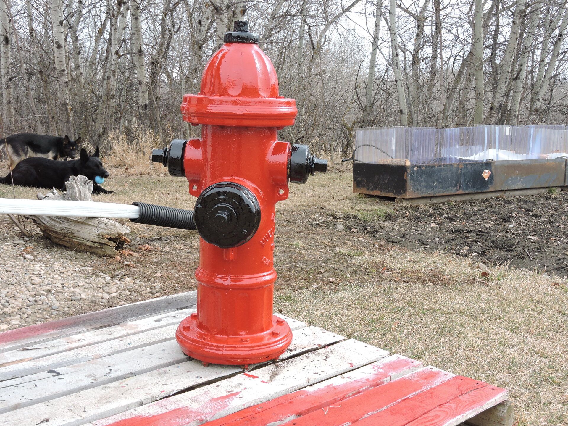 DSCN9911.JPG