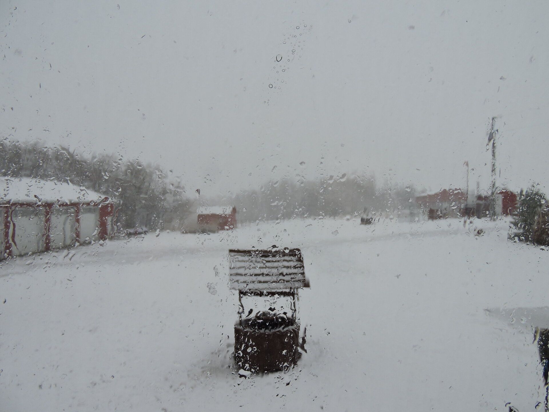 DSCN9941.JPG