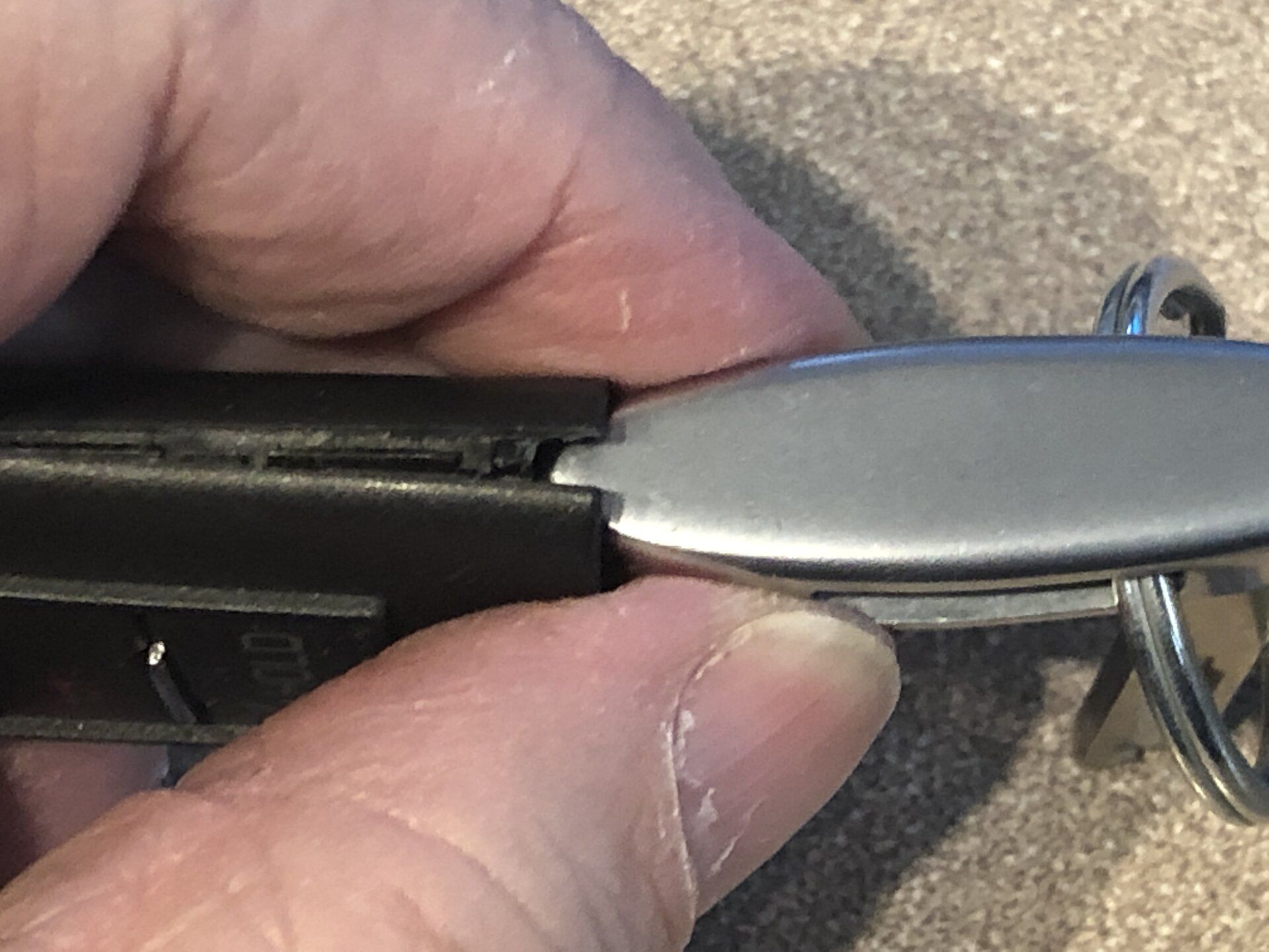 E3943786-1E29-4C42-8A04-2419C0707EDC.jpeg