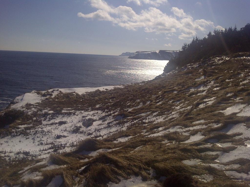 ECT_looking South from Small Point_small.jpg