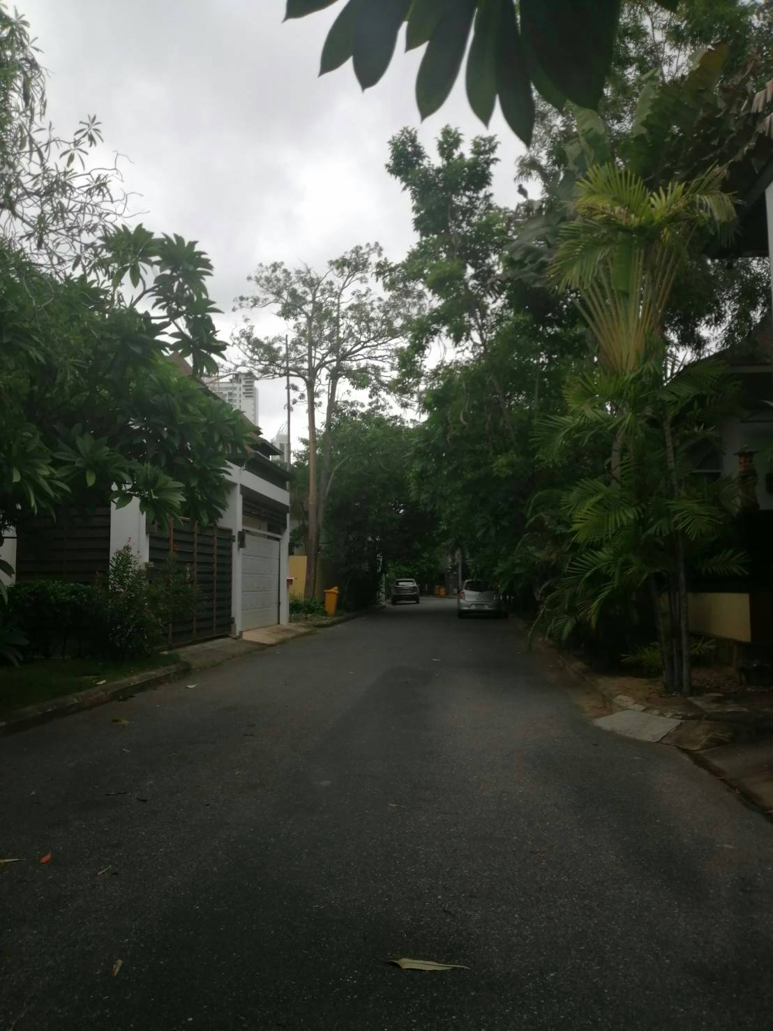 EED2AADC-3541-450C-9B35-405A40C12656.jpeg