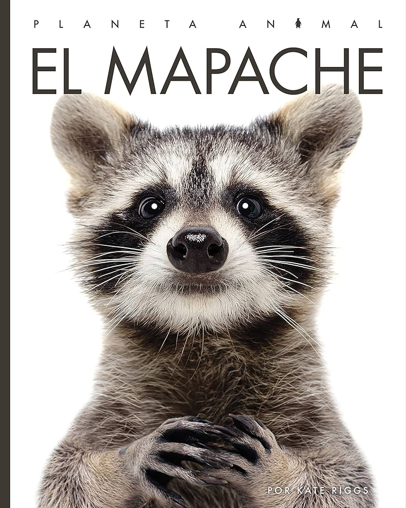 El Mapache.jpg