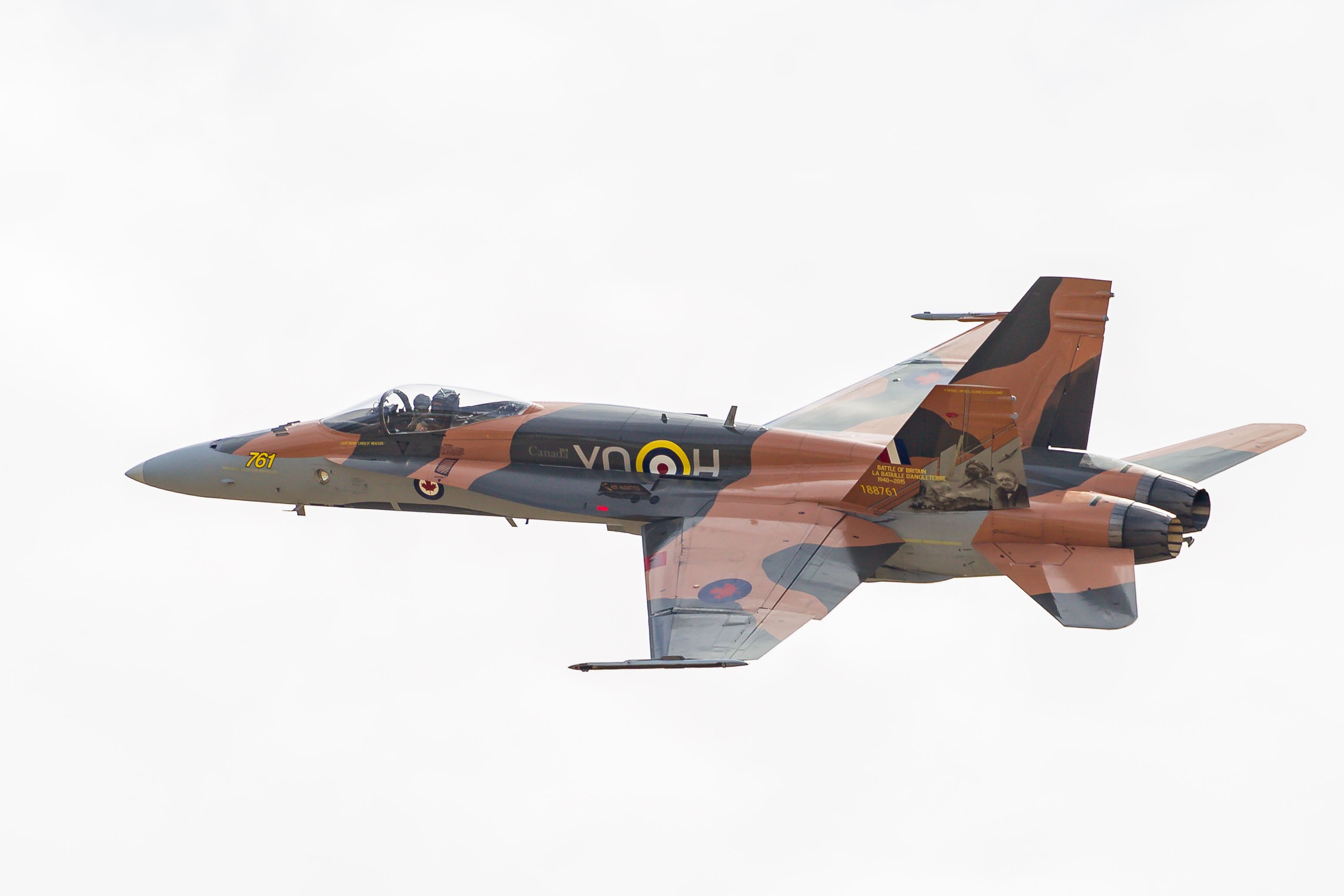 EOS-1D Mark IV_5396.jpg