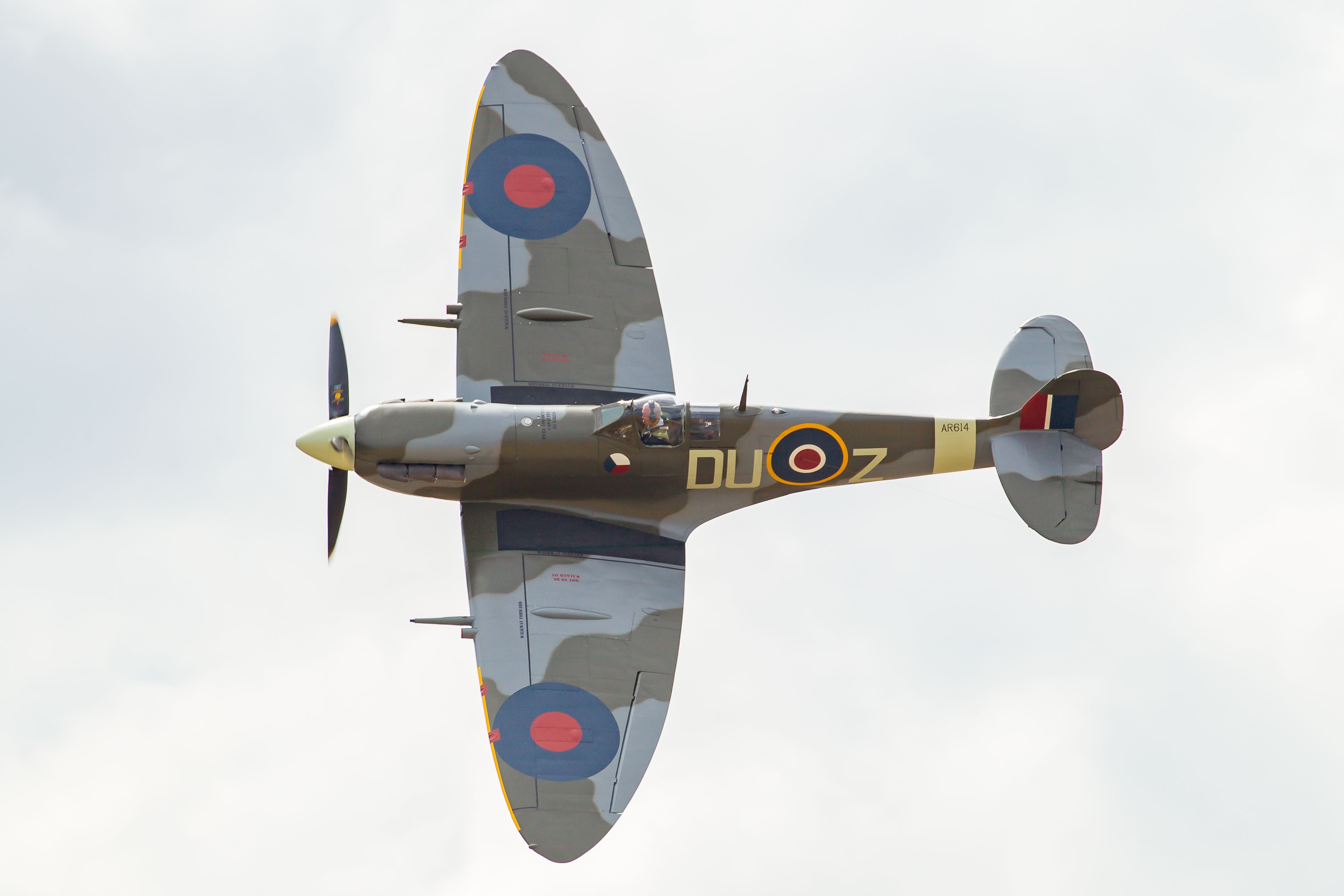 EOS-1D Mark IV_5465.jpg