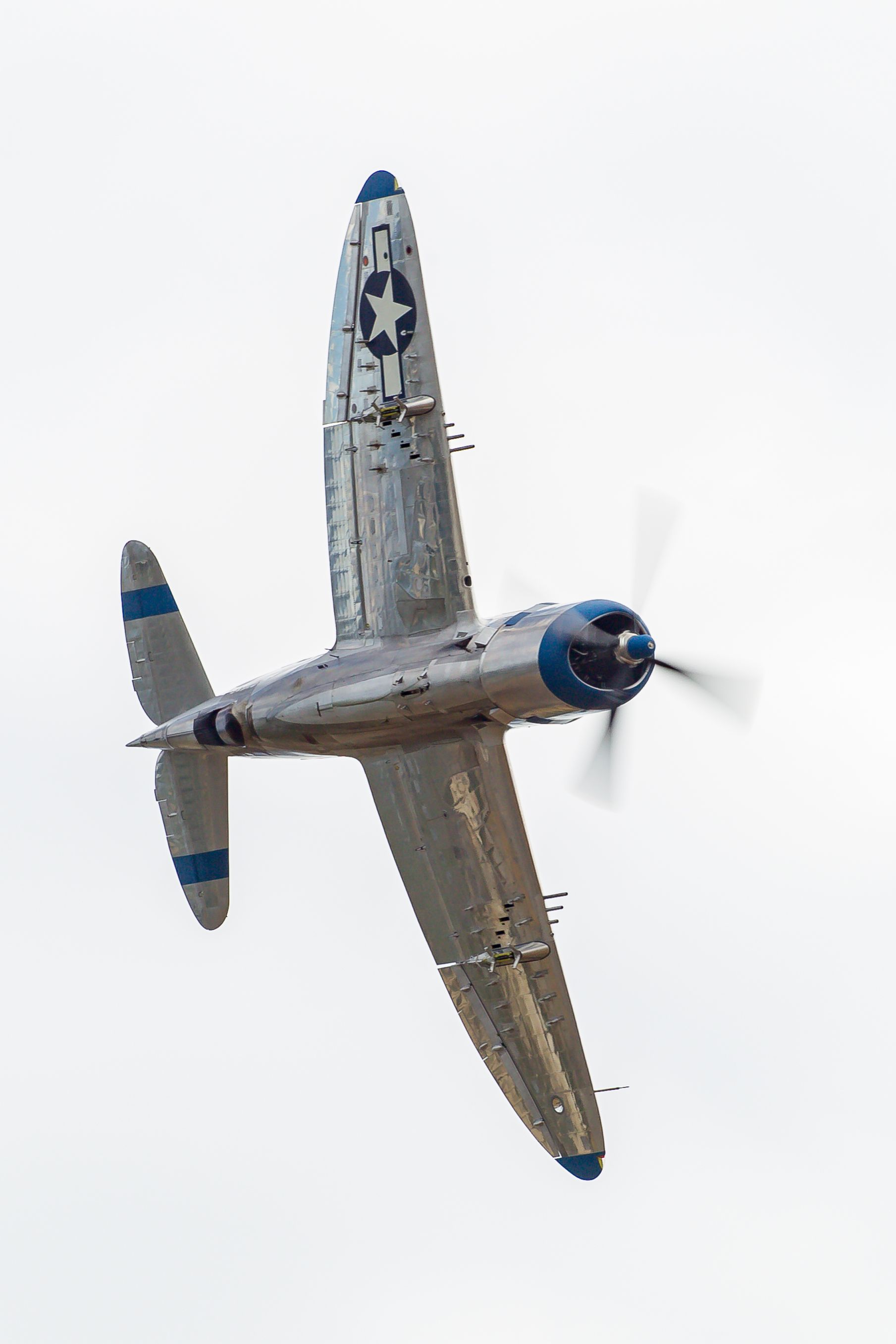 EOS-1D Mark IV_5629.jpg