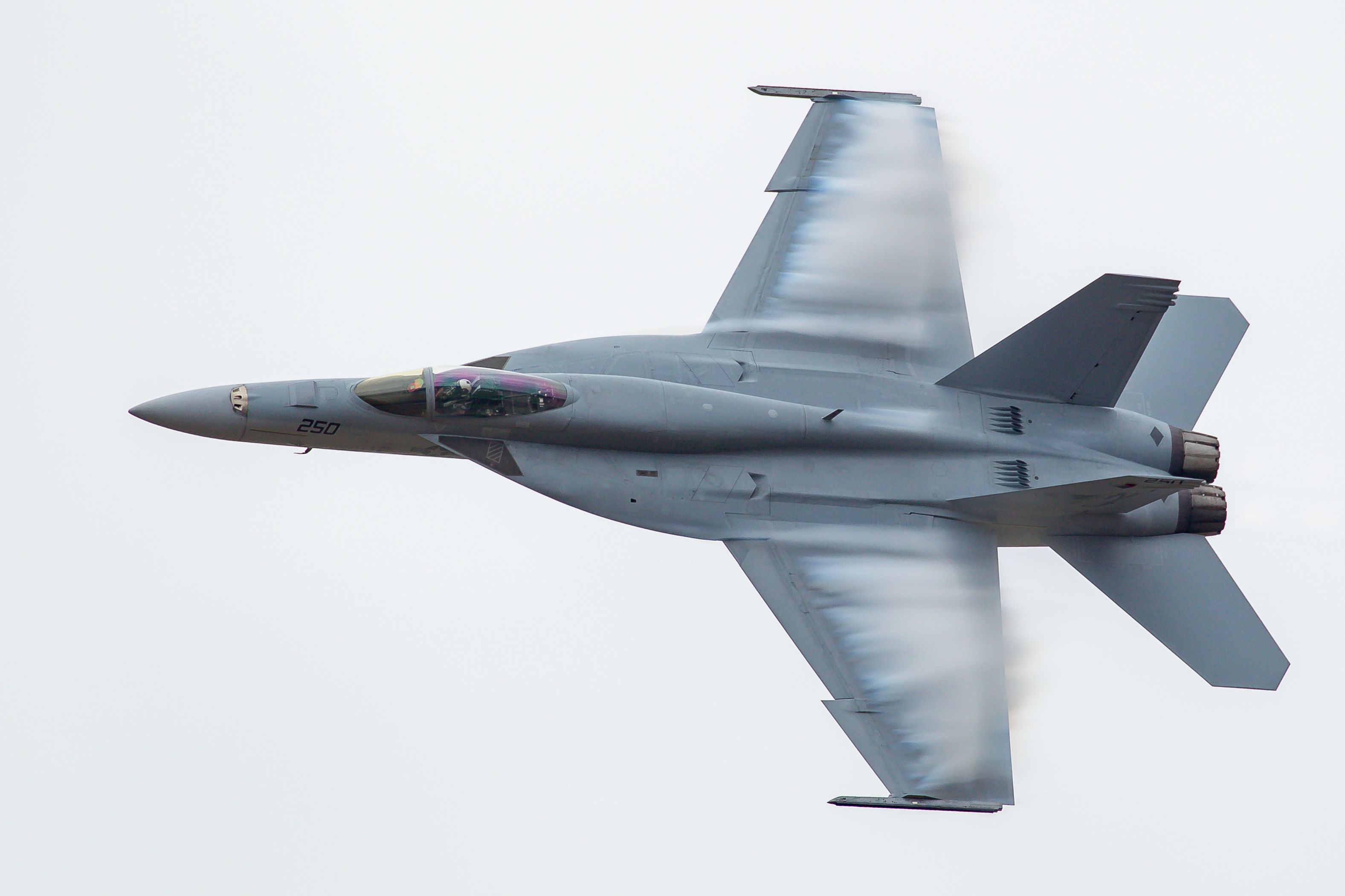 EOS-1D Mark IV_5884.jpg