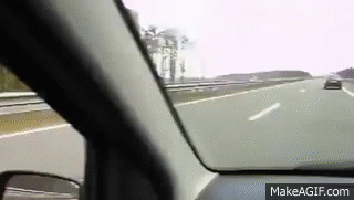 EVieg7.gif