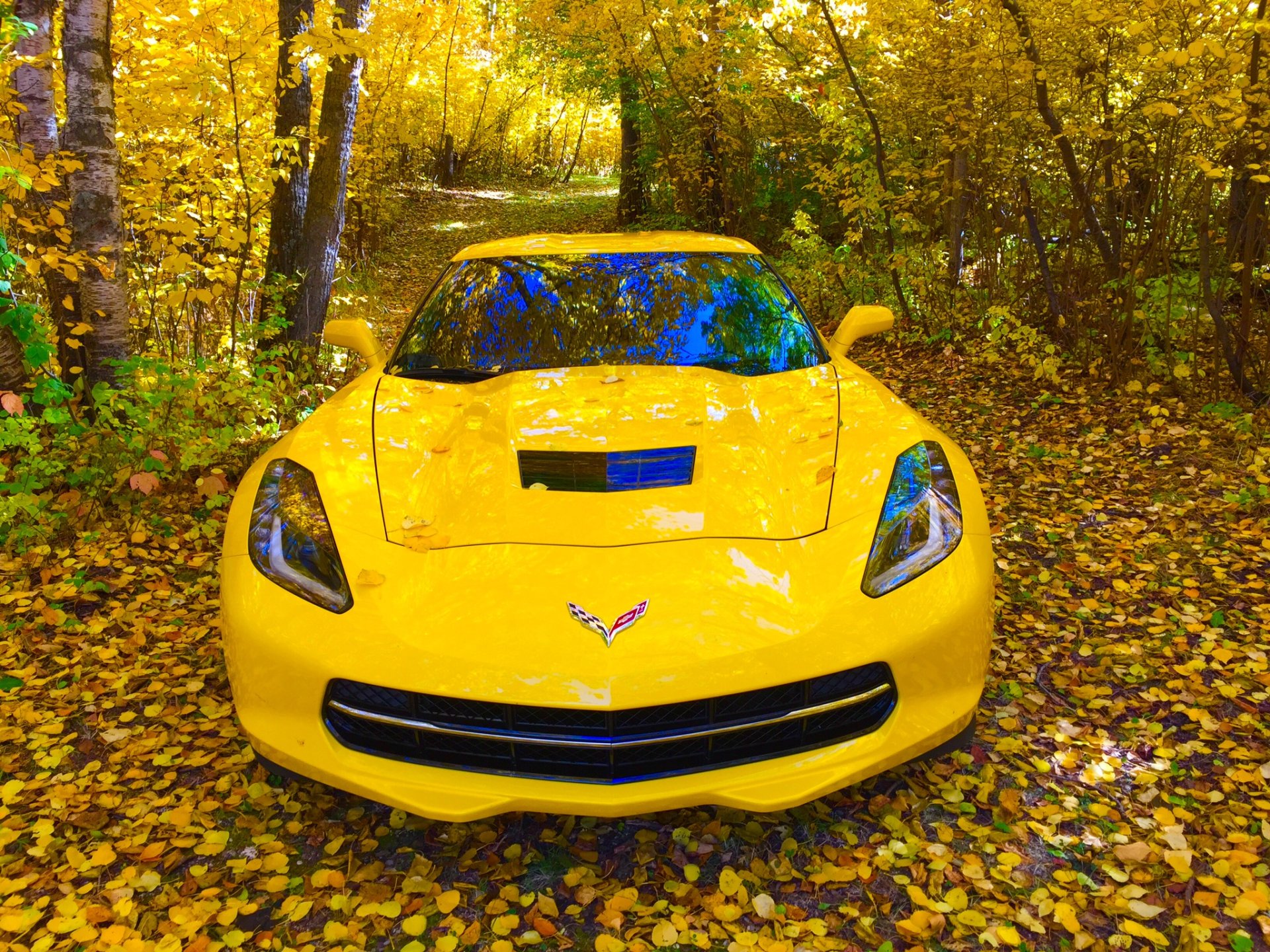 F05CB765-4E09-415B-B9E2-50ED9A622F22