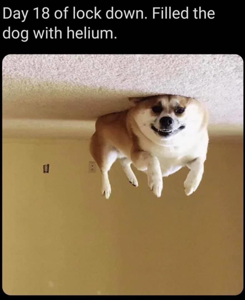 F170E62A-BE8F-4DF0-A31A-DDF330697A92.jpeg