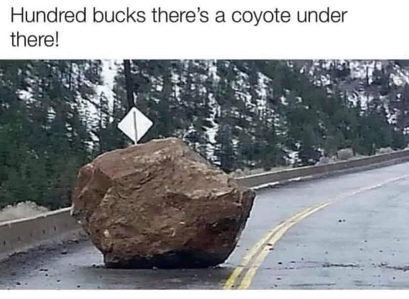 F1B1CE99-58BF-4DC8-B9B8-C27693AD99FD.jpeg