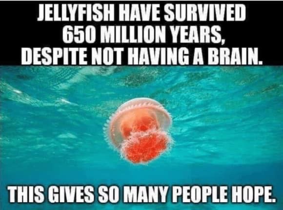 F676F6D7-B4A3-4EF3-8D21-35AD0CBAA1CA.jpeg