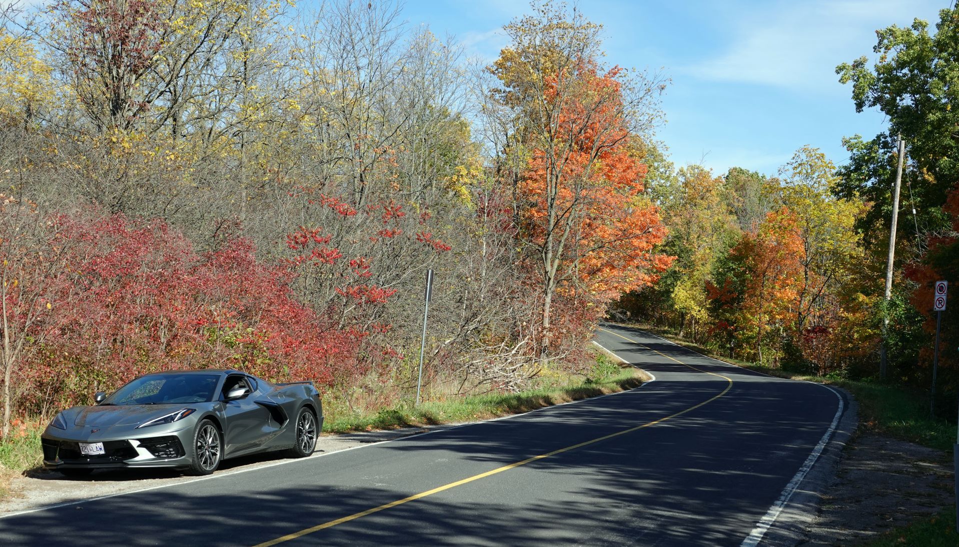 Fall colors small - 2.JPG