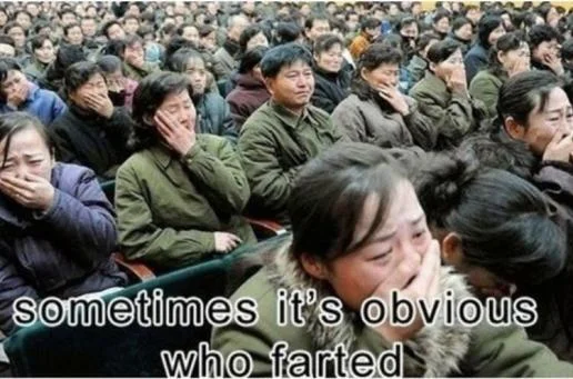 farted.webp