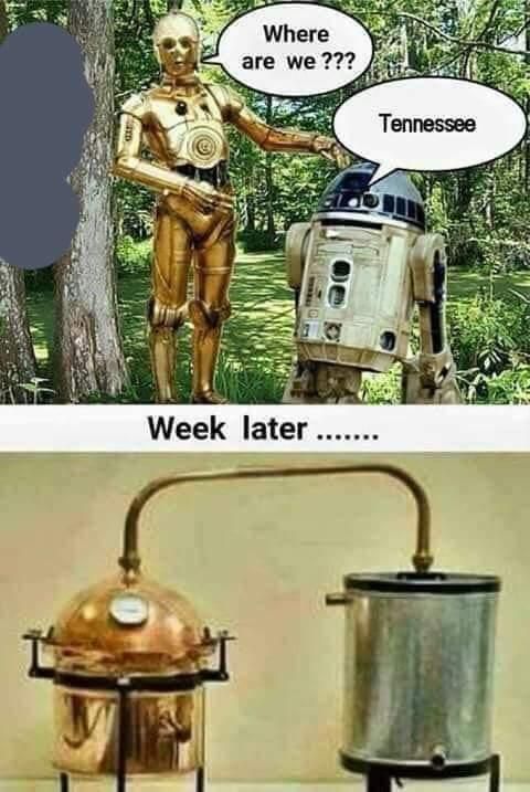 FB_IMG_1550409650763 (1).jpg