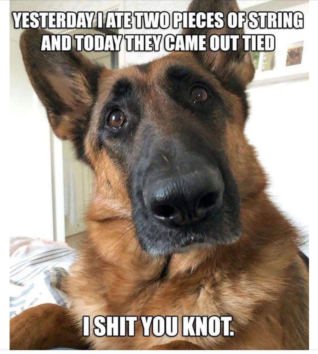 FB_IMG_1626399735712.jpg