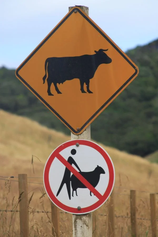 funny_road_signs_17-2659054113.webp