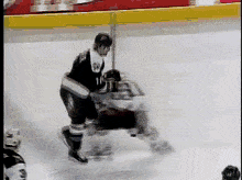 hockeygif.gif