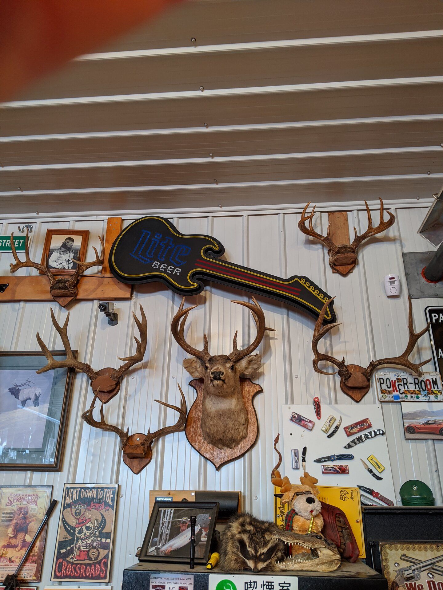 horns.jpg