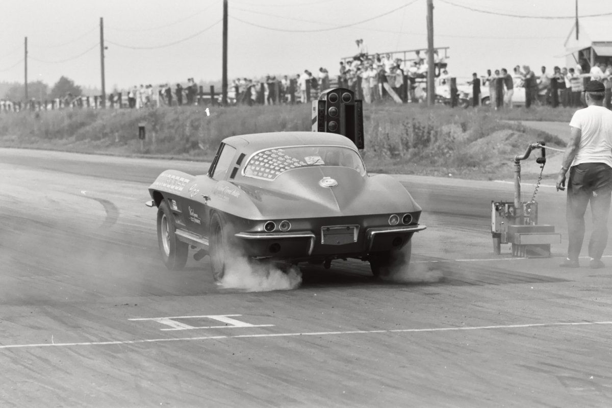 hot dover2 mongoose1.jpg