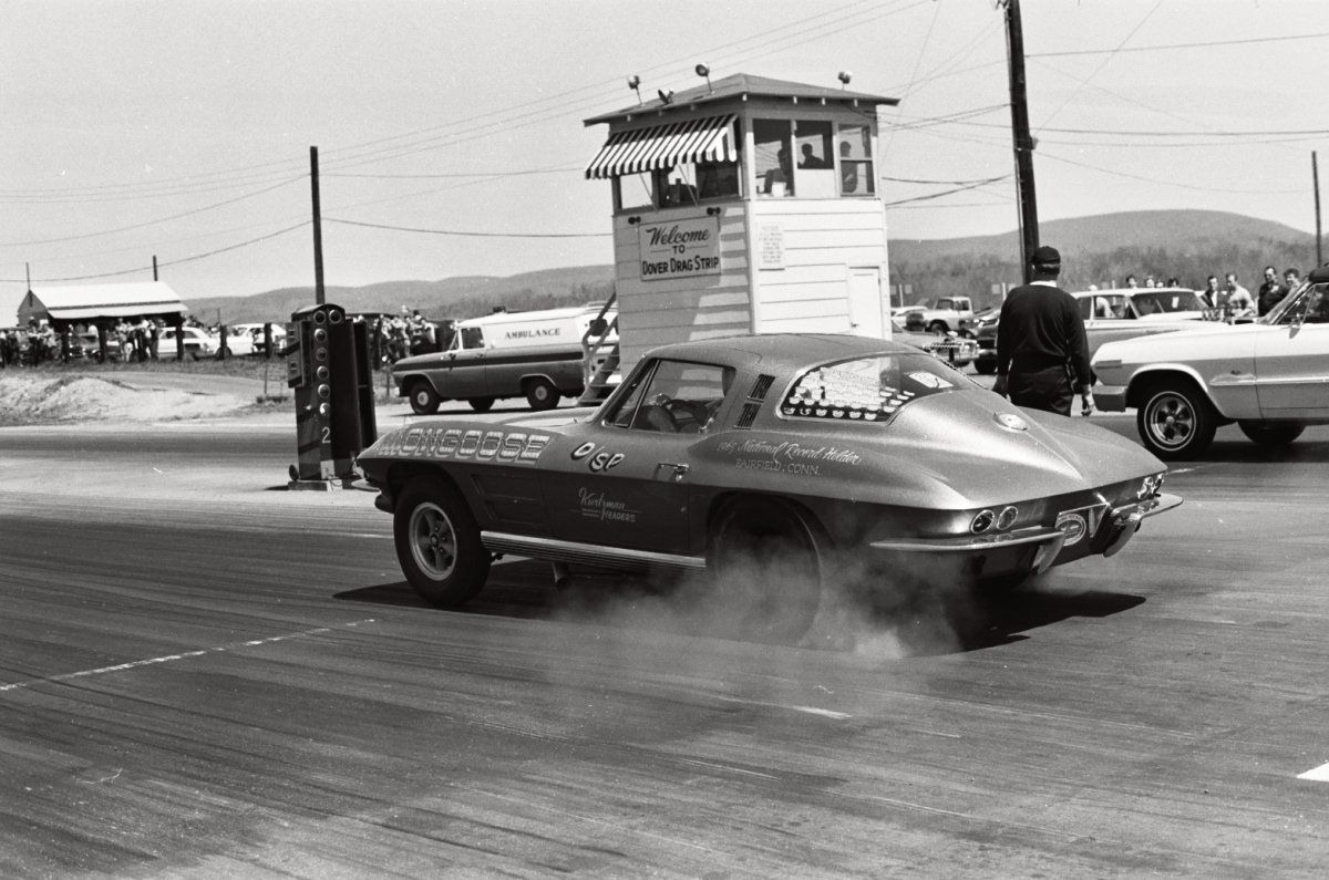 hot dover2 mongoose2.jpg