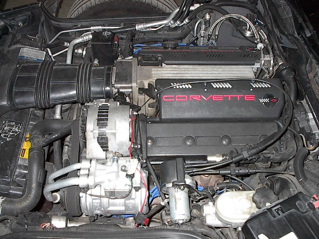 IM003091.JPG