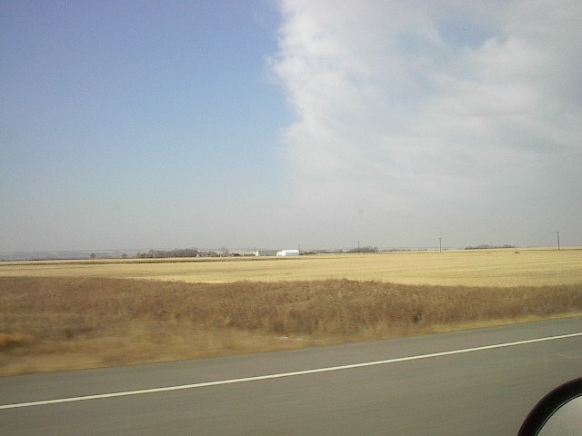 IM003133.JPG
