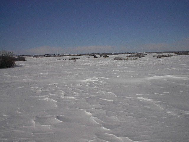 IM003579.JPG
