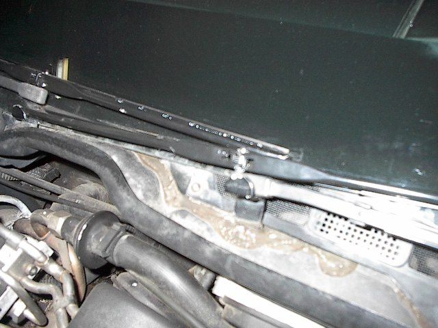 IM003811.JPG