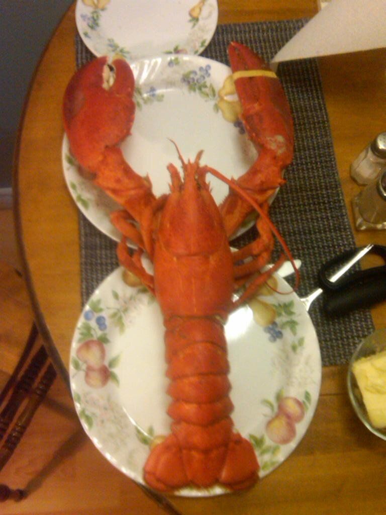 IMG00434-20121223-1612.jpg