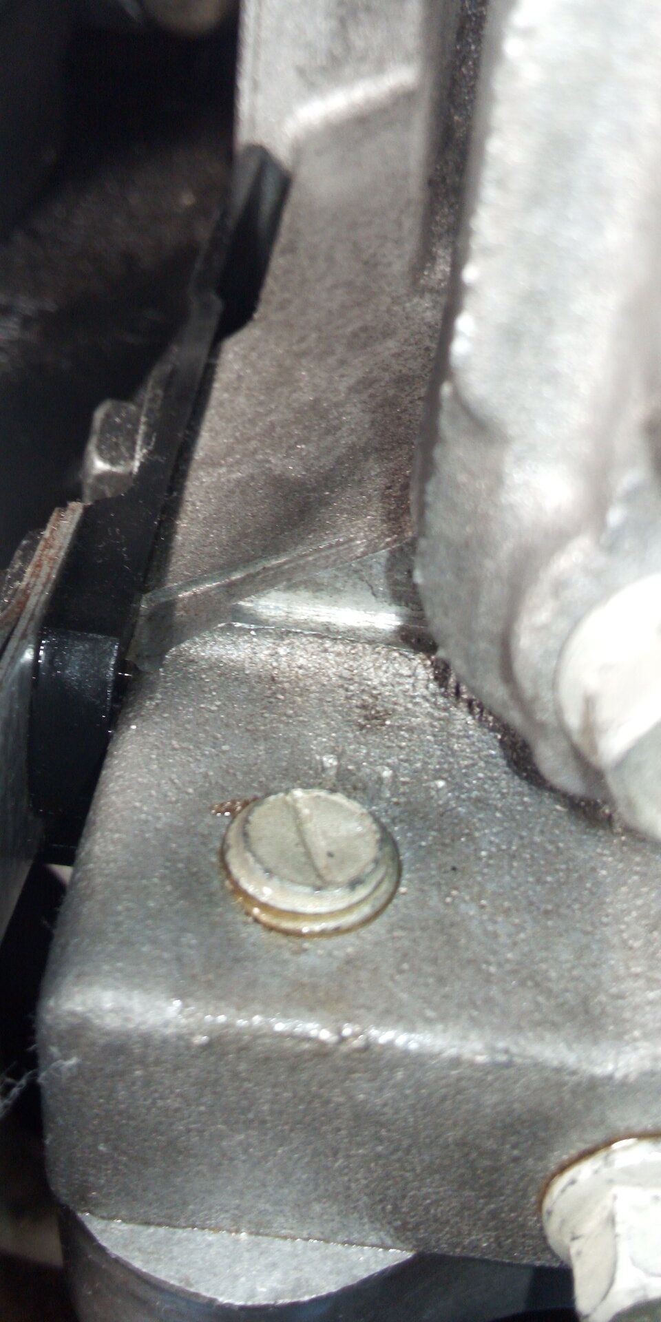 IMG_20200401_115858.jpg