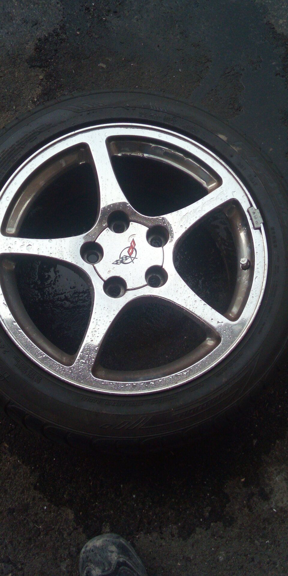 IMG_20200403_122304.jpg