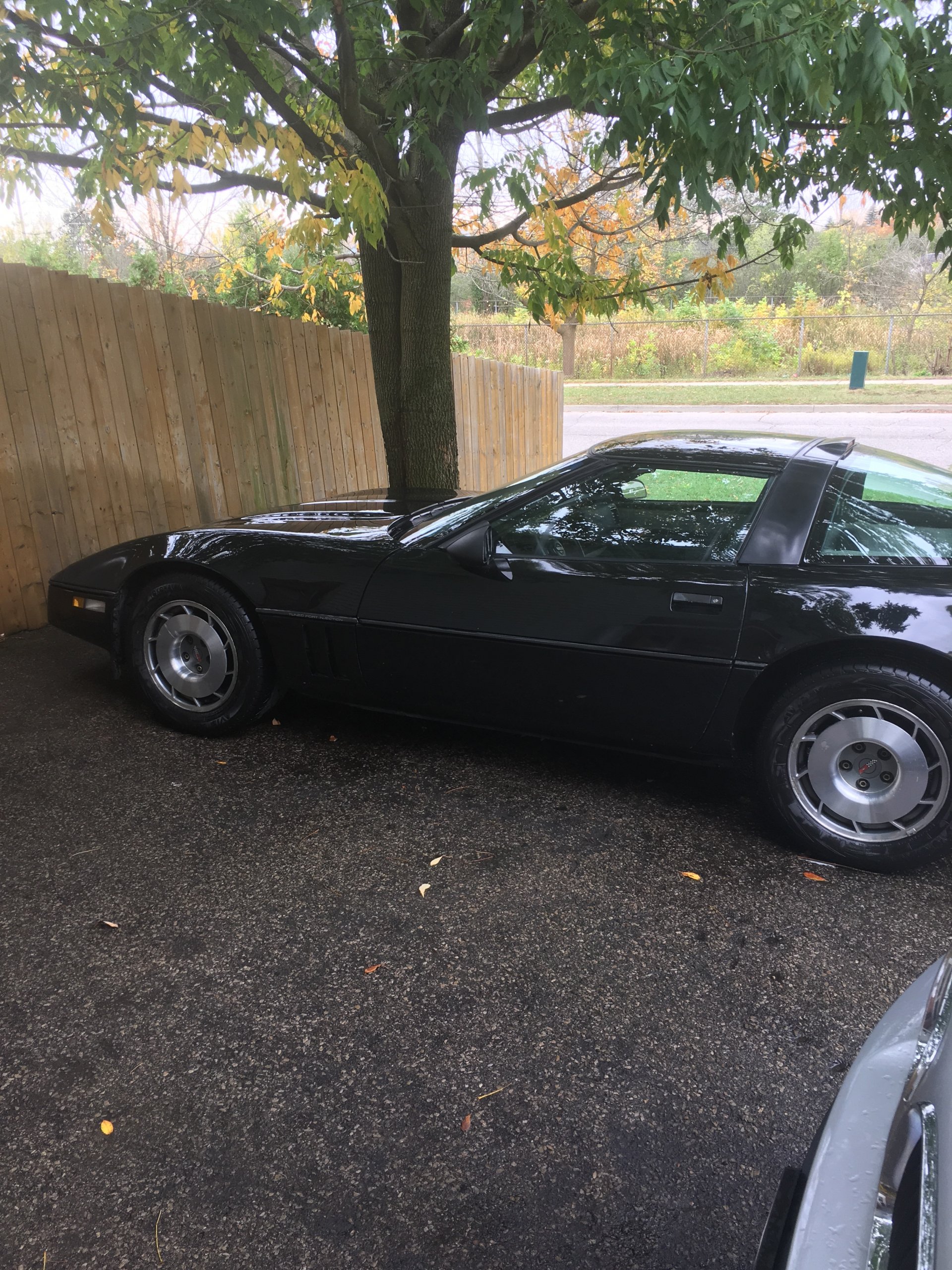 iOS Image - 1024025258.jpg