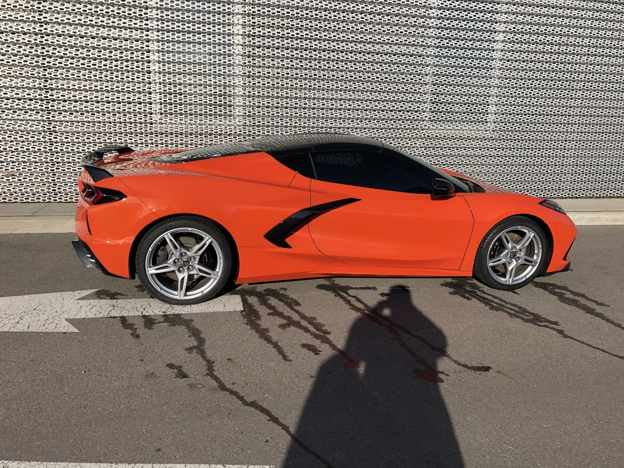 iOS Image - 117081476.jpg