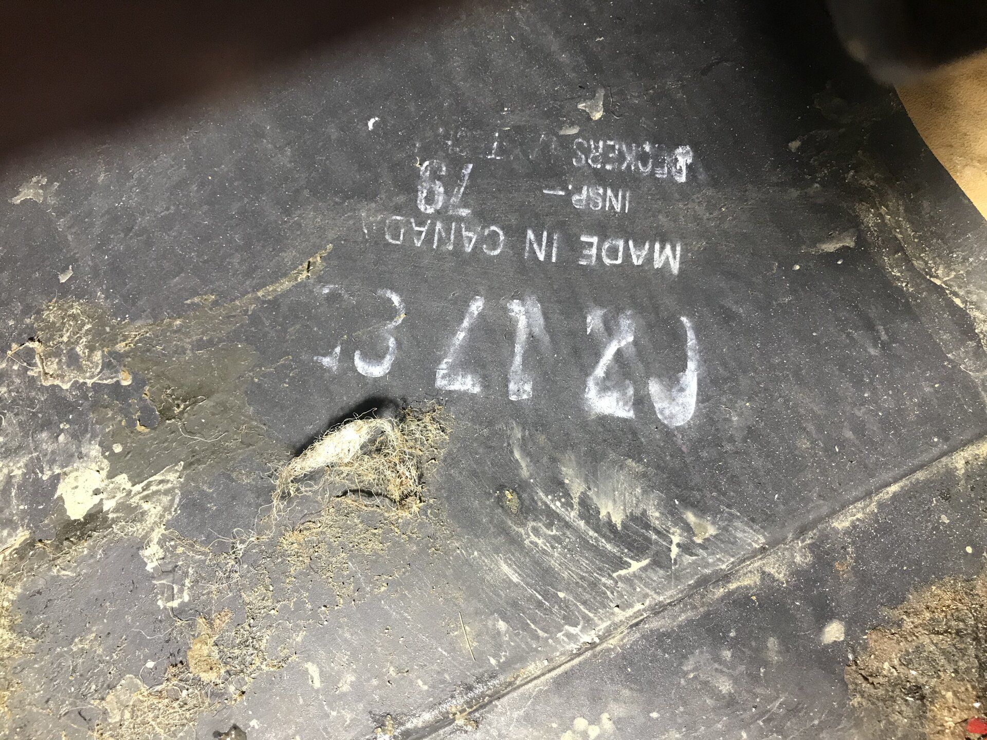 iOS Image - 1226610061.jpg