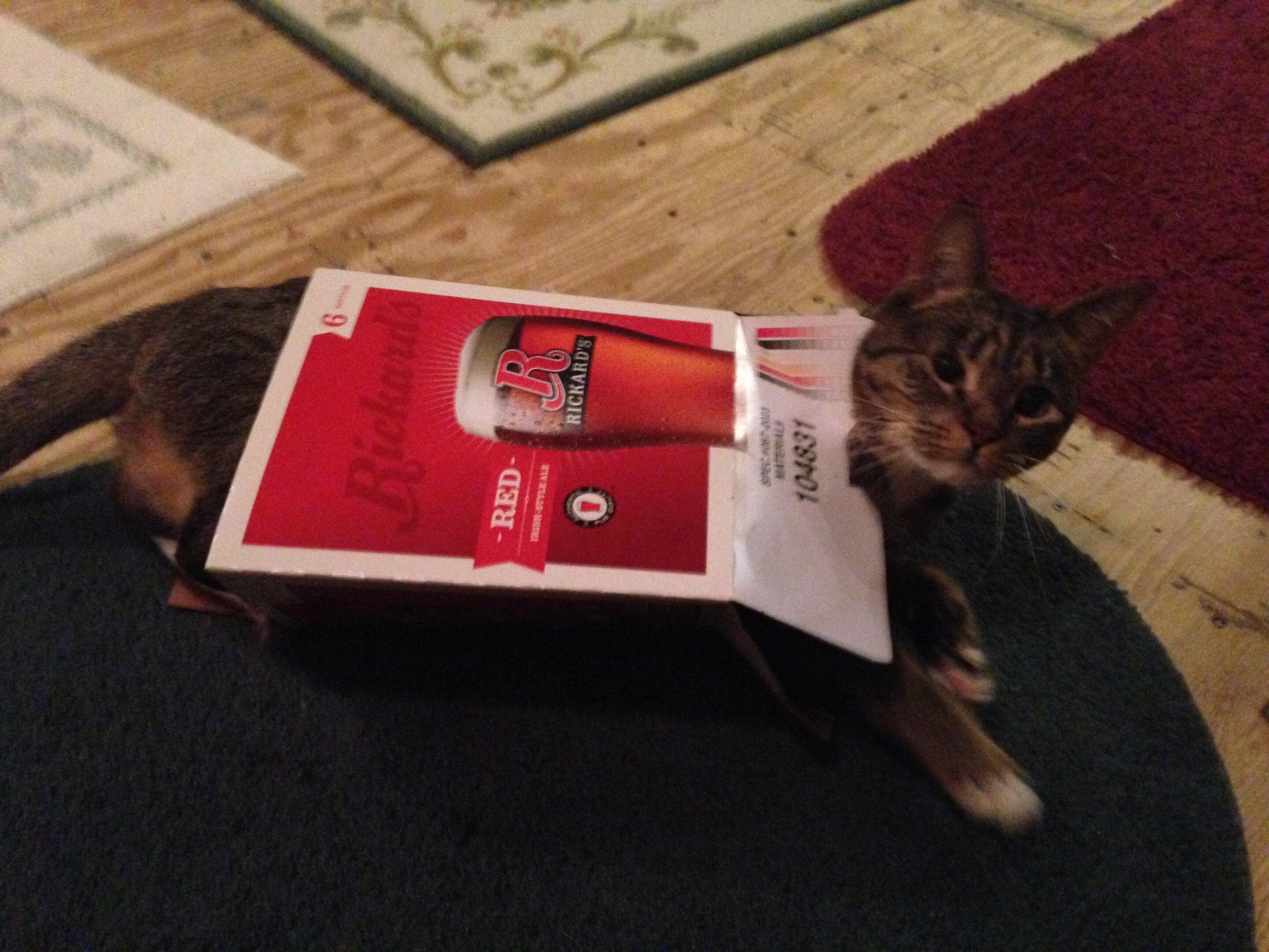 iOS Image - 1623097090.jpg