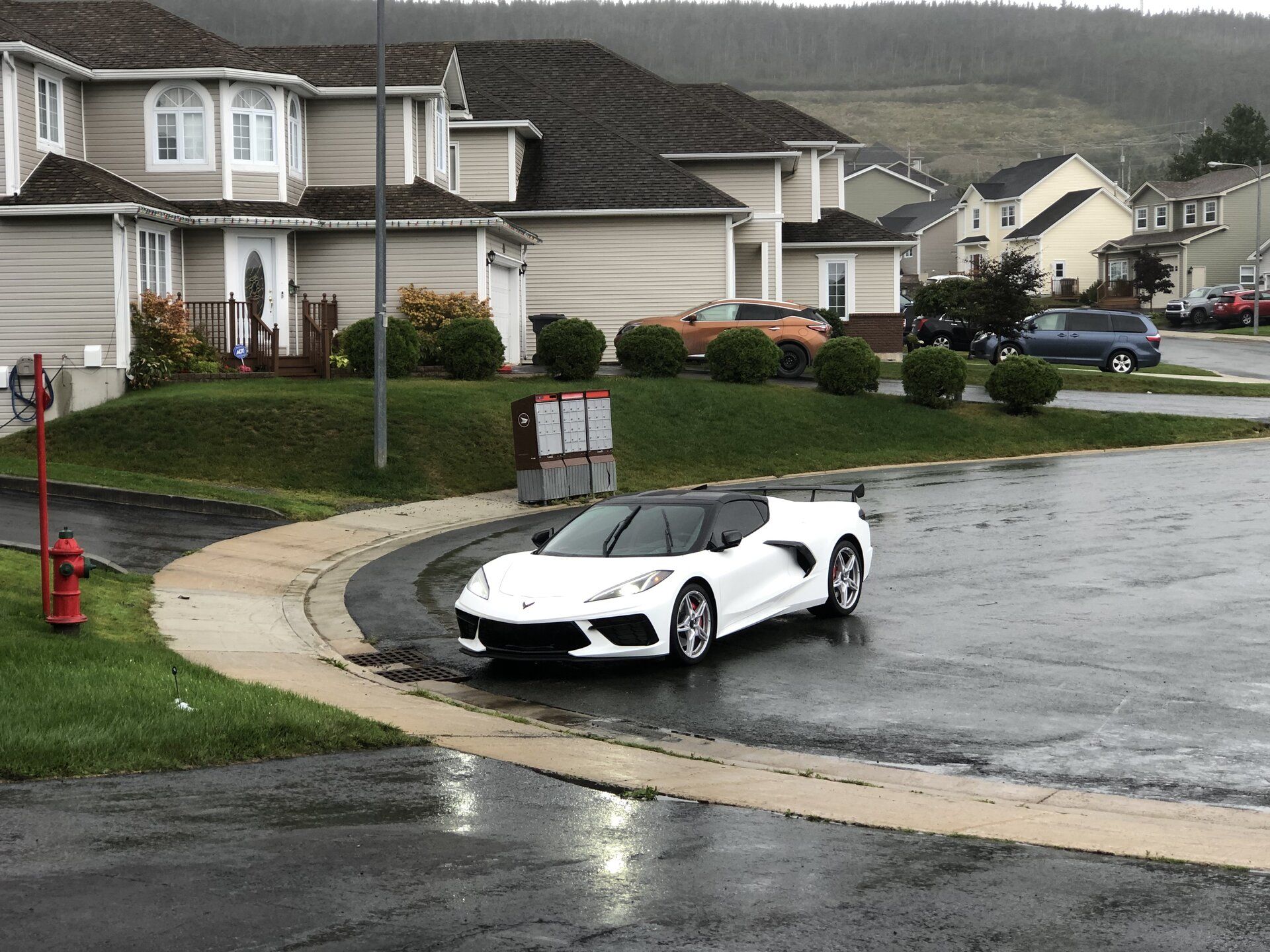 iOS Image - 163701477.jpg