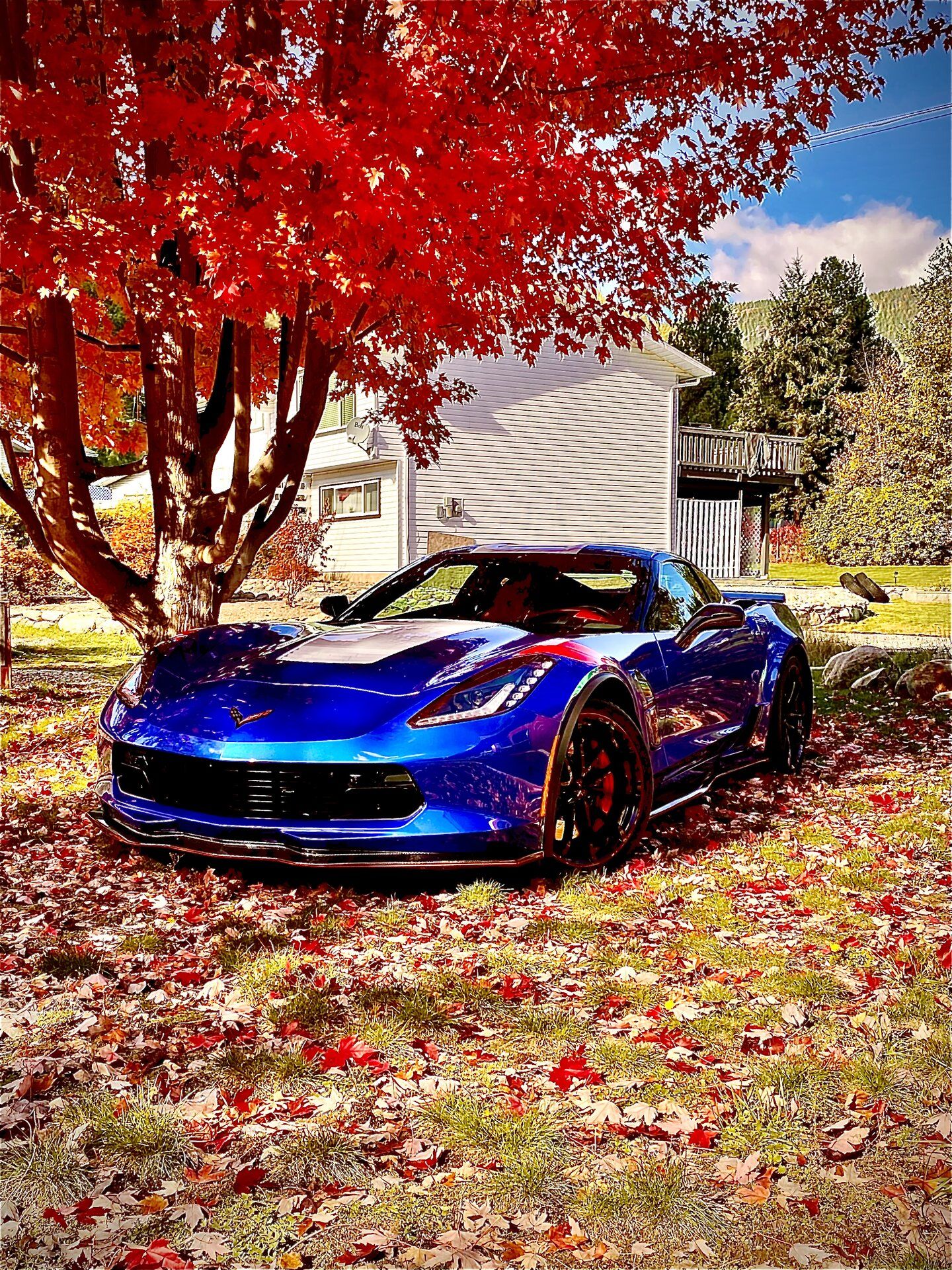 iOS Image - 2221832264.jpg