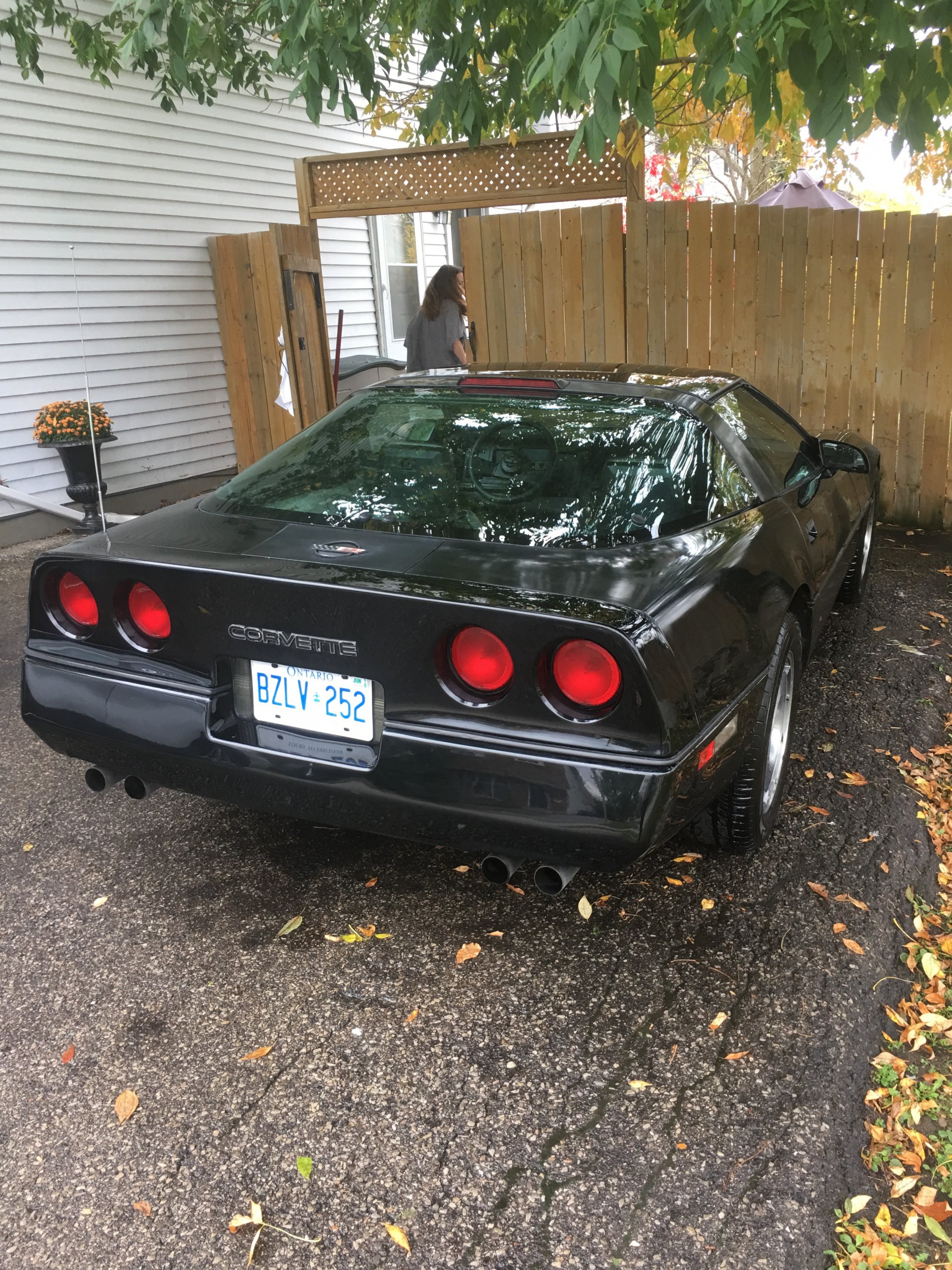 iOS Image - 2307267695.jpg