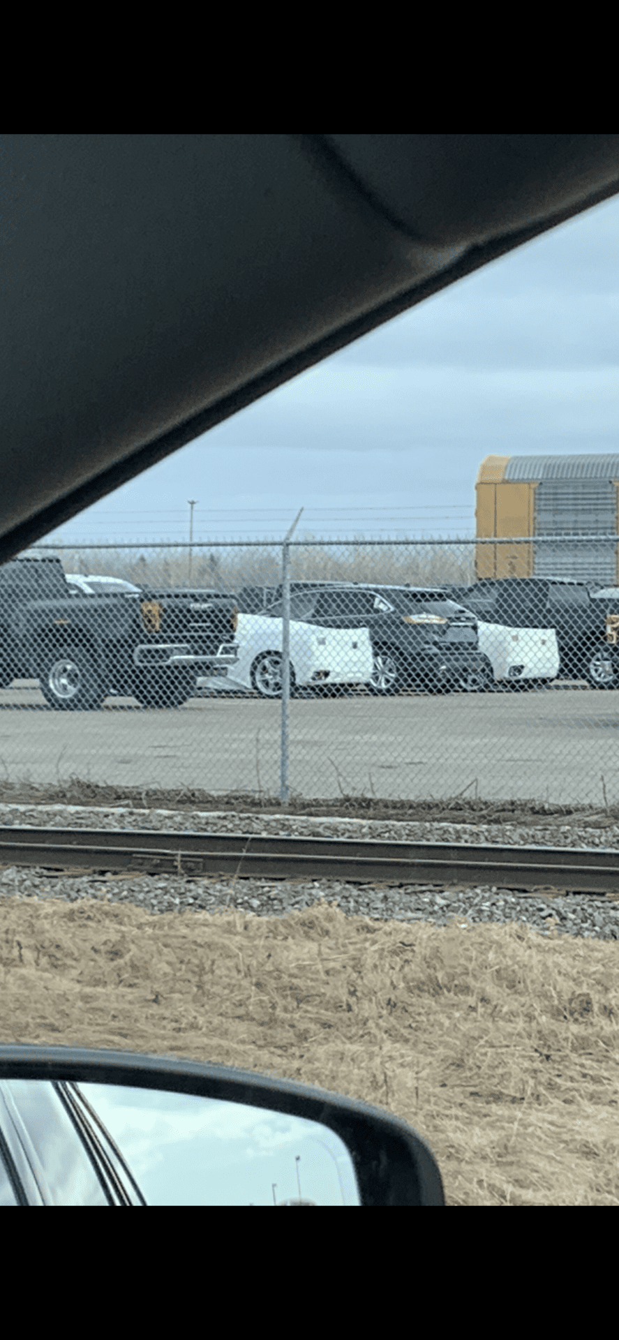 iOS Image - 2364603912.png