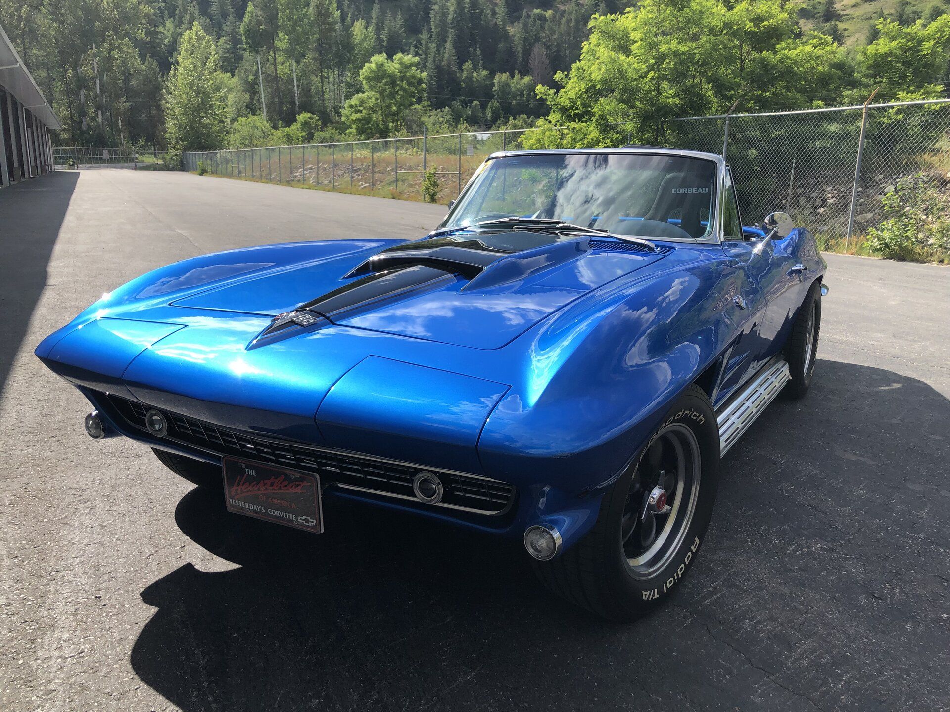 iOS Image - 259344801.jpg