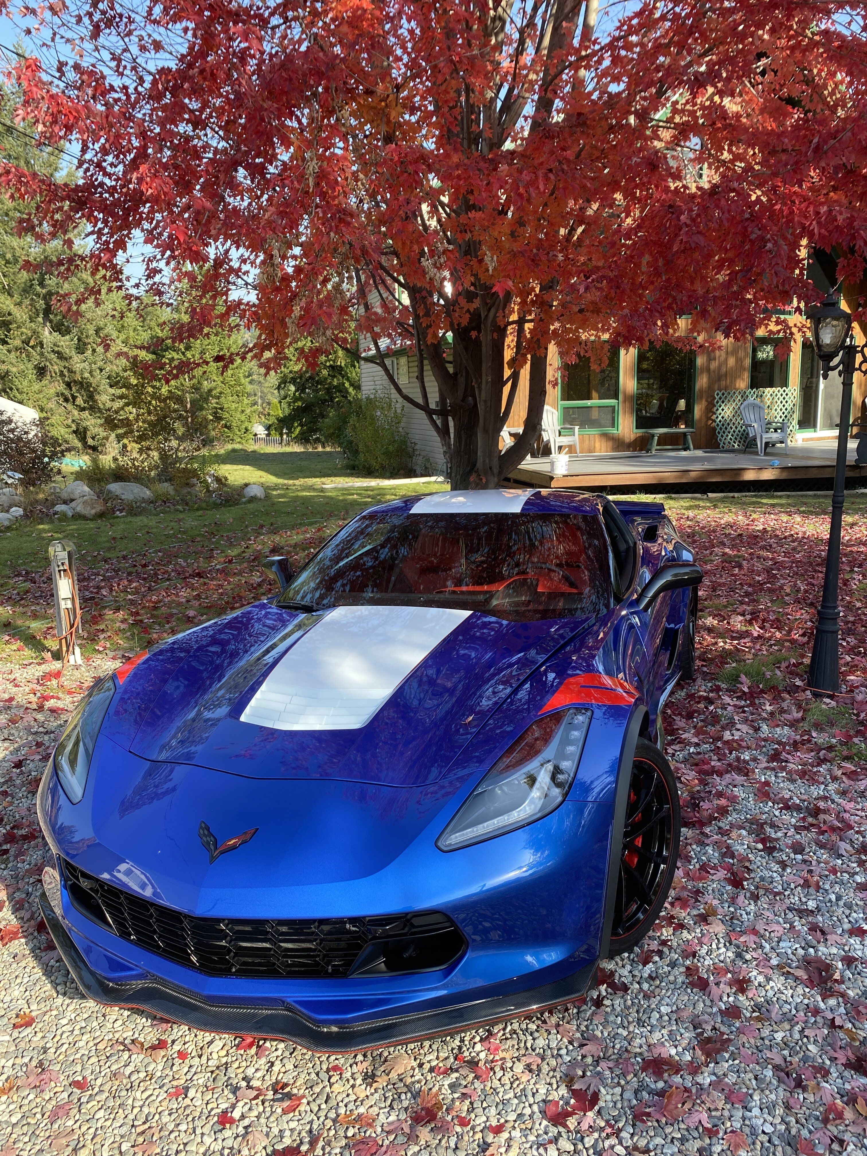 iOS Image - 27124954.jpg