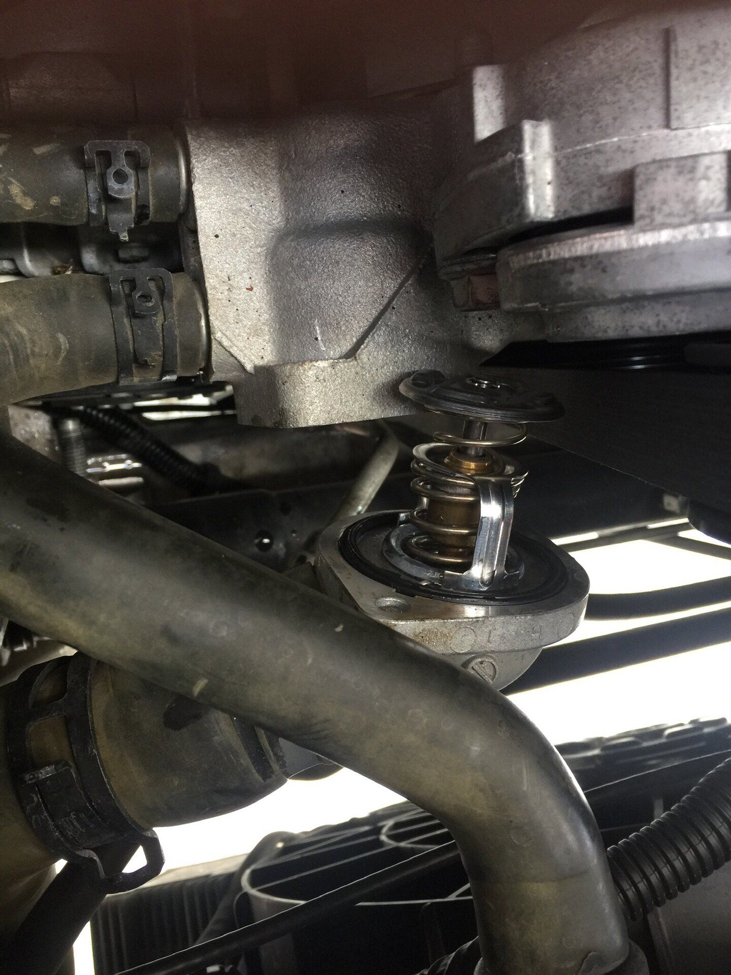 iOS Image - 2788061239.jpg