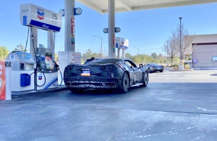 iOS Image - 2924499081.jpg