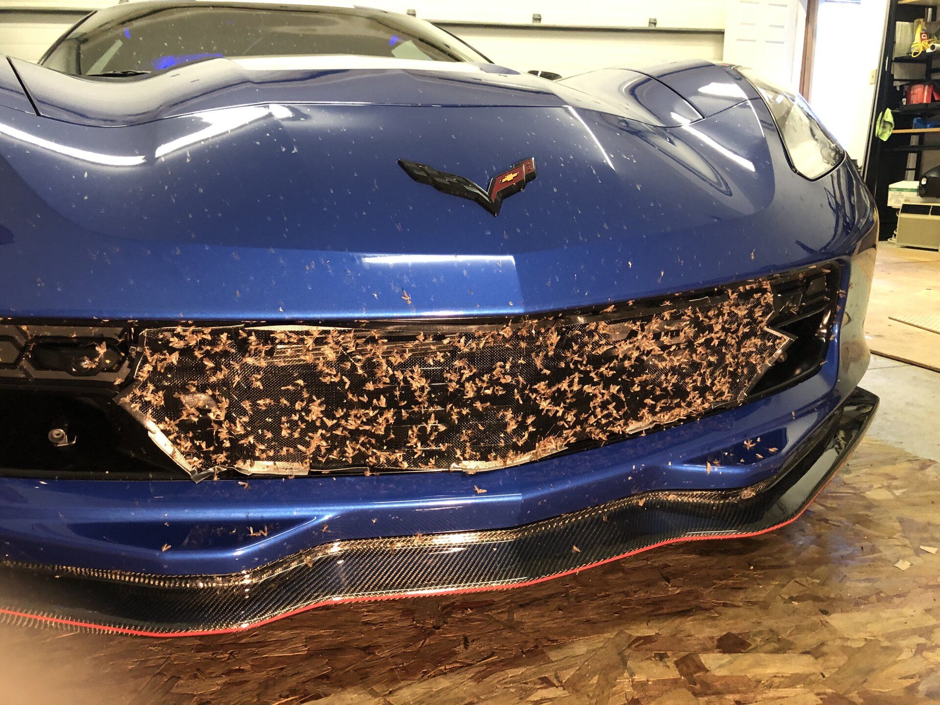 iOS Image - 3174500495.jpg