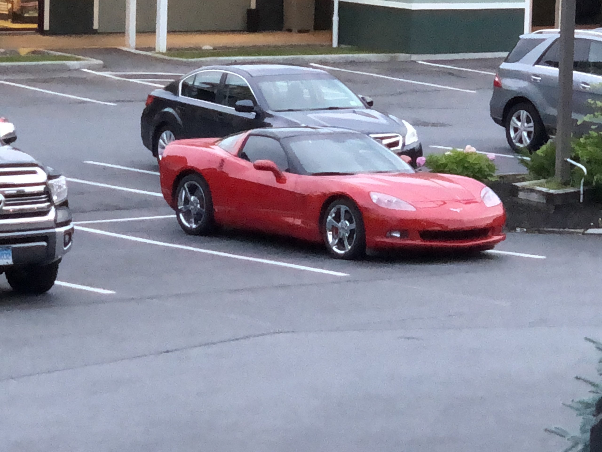 iOS Image - 323488117.jpg